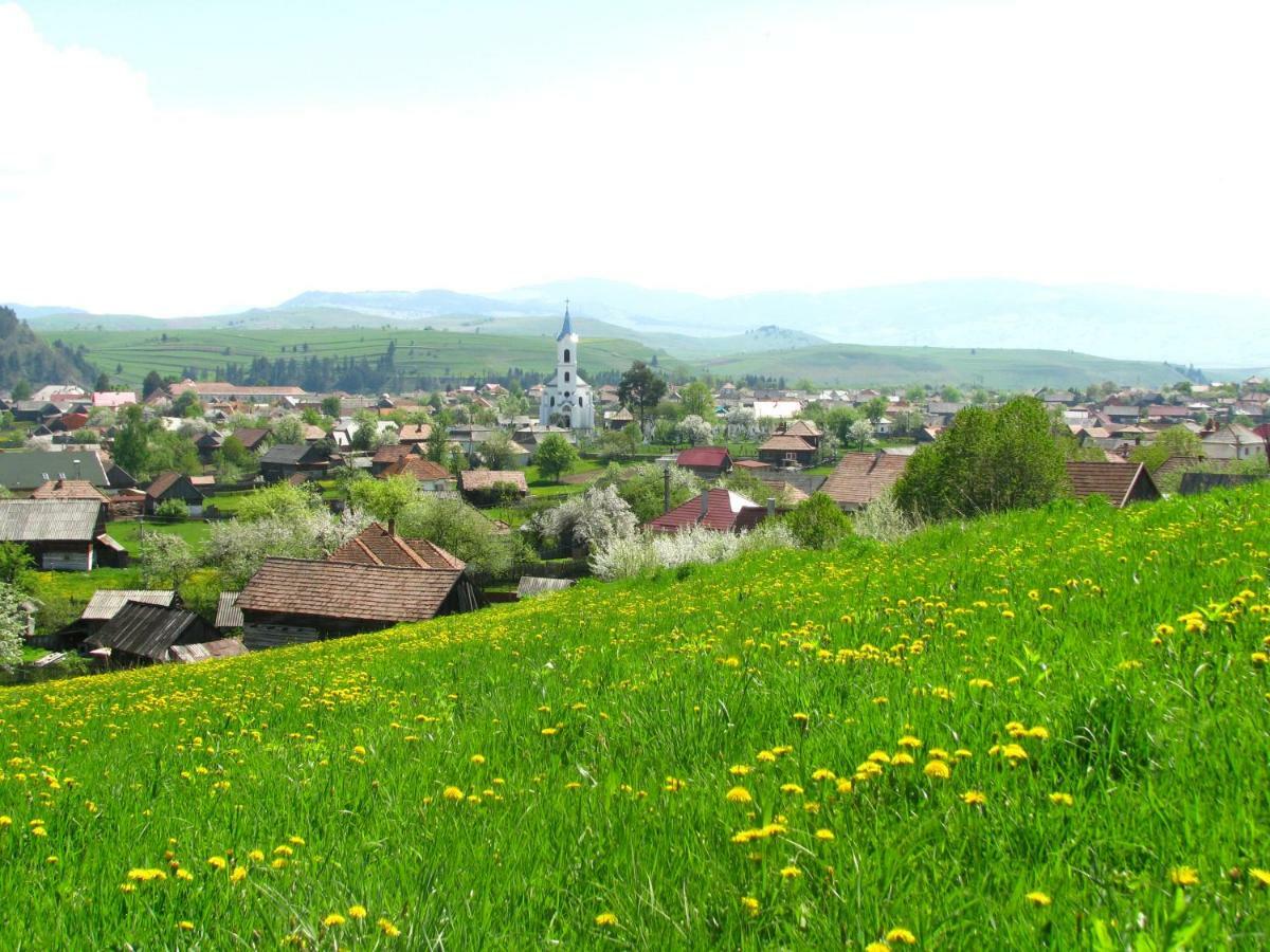Cazare La Mitica Subcetate  Bagian luar foto